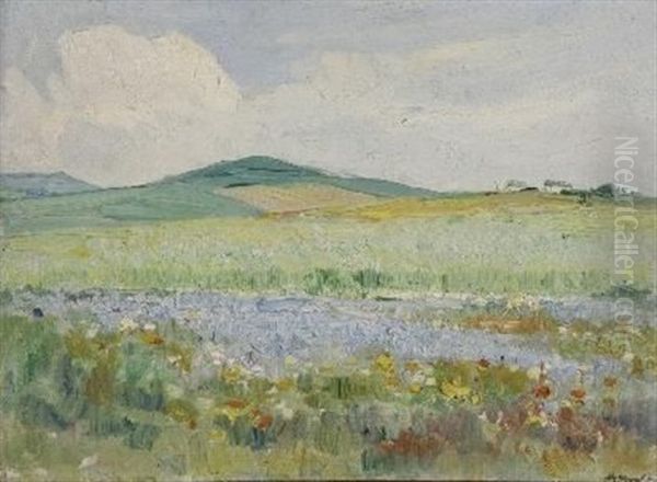 Spring Flowers, Darling - view 1
