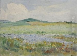 Spring Flowers, Darling