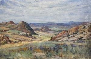 Namaqualand Landscape