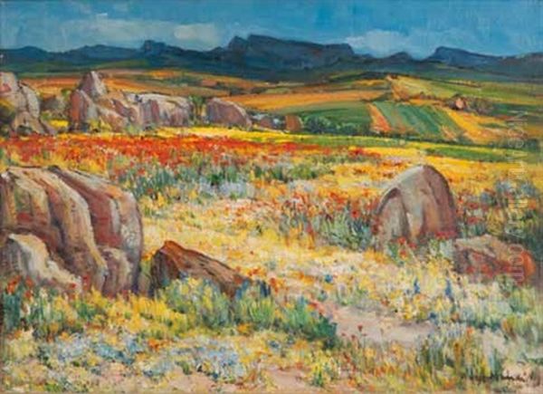 Namaqualand In Spring - view 1