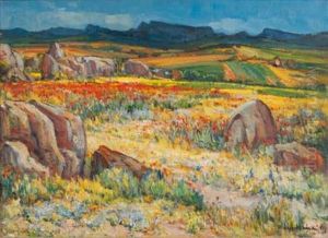 Namaqualand In Spring