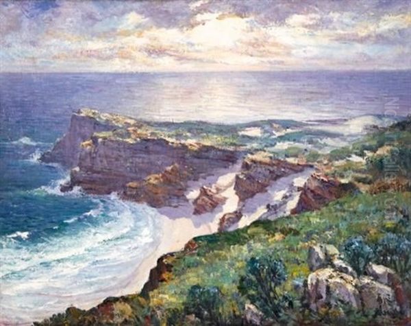 Cape Of Good Hope - view 1