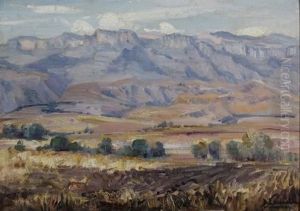 Landscape Landscape