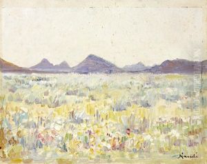 Namaqualand In Bloom