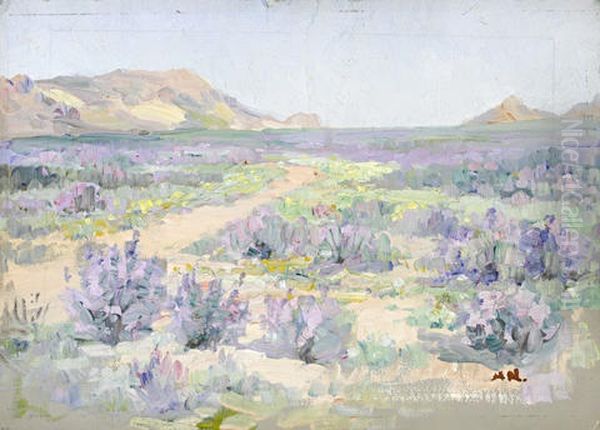 Purple Flowers In Bloom, Namaqualand - view 1
