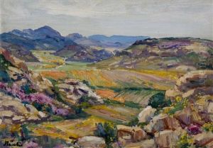 Namaqualand Landscape