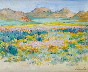 Namaqualand Flowers