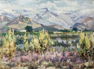 De Doorns