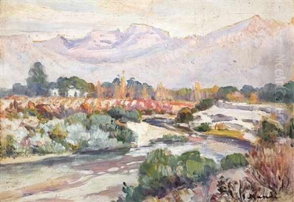 A Farm On The Breede River - view 1