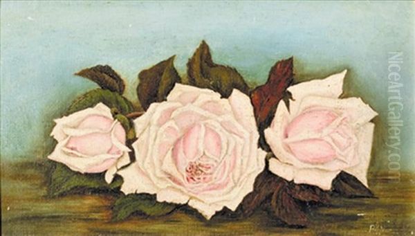 Roses - view 1