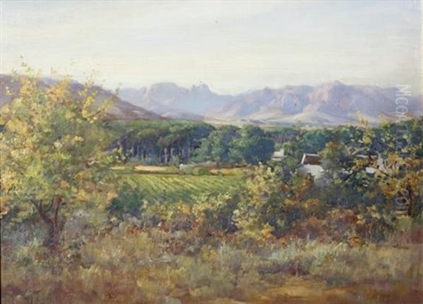A Wine Farm, Paarl - view 1