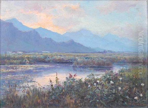 Brandvlei, Near Worcester - view 1