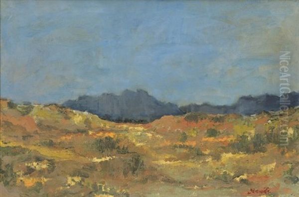Flowering Namaqualand - view 1