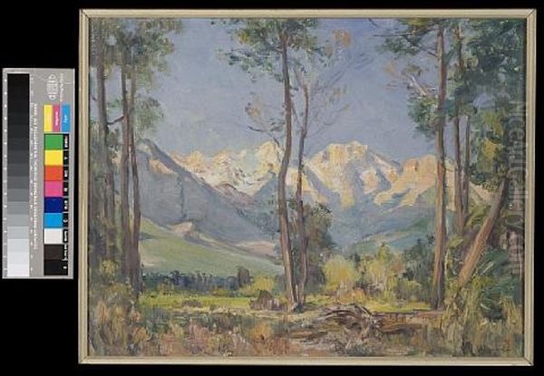 The Worcester Mountains - view 1