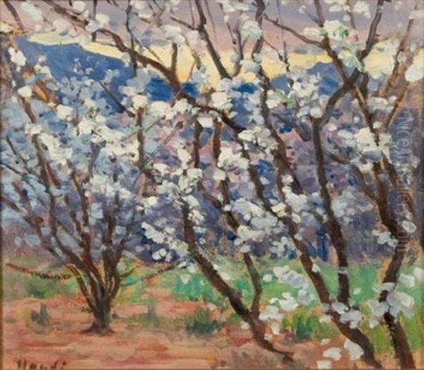 Trees In Blossom - view 1