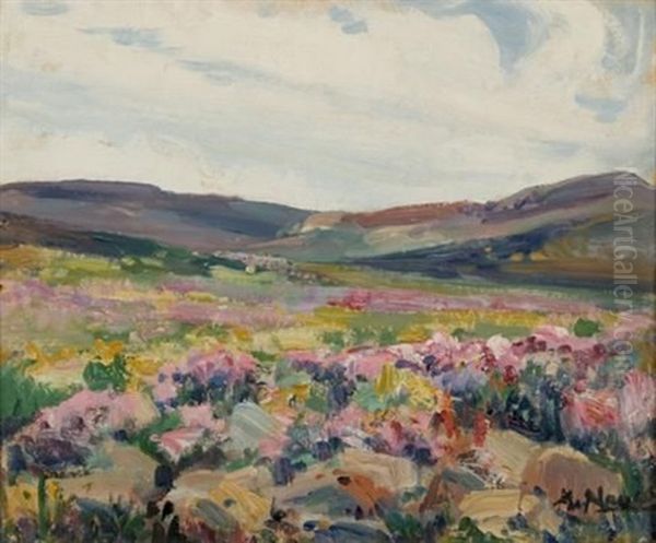 Namaqualand Scene - view 1
