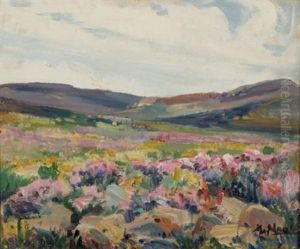 Namaqualand Scene