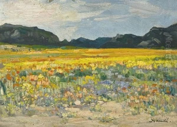 Namaqualand - view 1