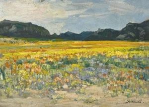 Namaqualand