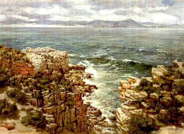 A View Of Walker Bay From Roman Rock, Hermanus by Pieter Hugo Naude