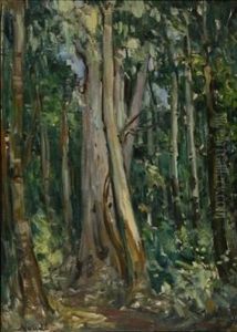 Gum Trees