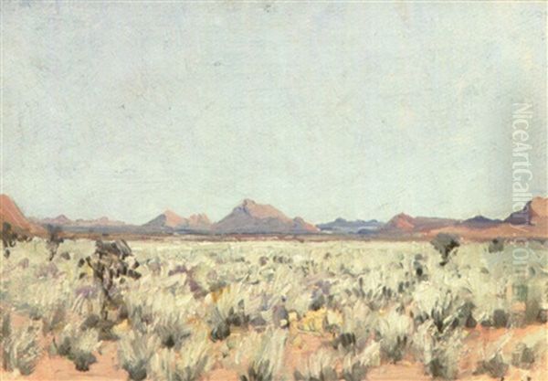 Vast Bushveld Landscape - view 1
