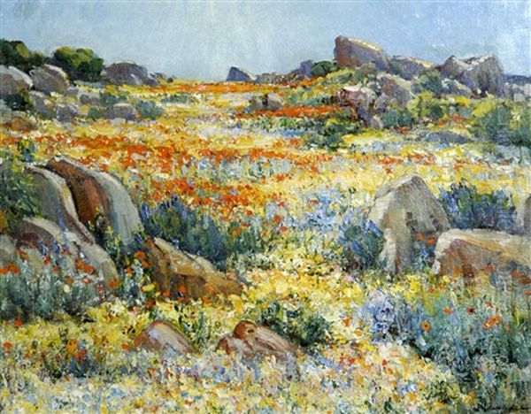 Namaqualand In Springtime - view 1