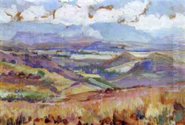 An Extensive Cape Landscape - view 1