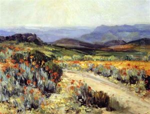 Roadside Flowers, Namaqualand