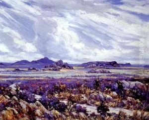 Springtime, Namaqualand