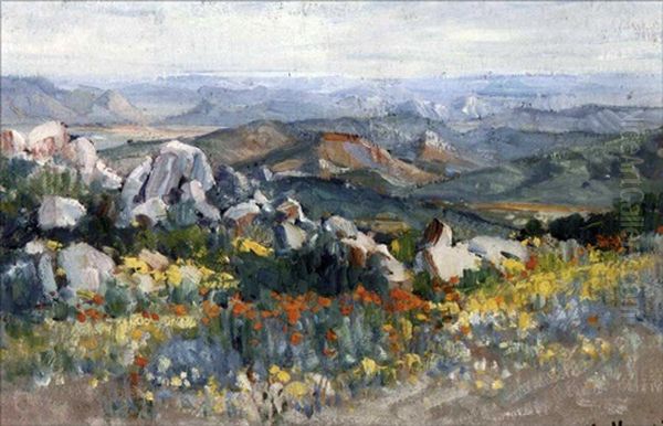 A Mountainous Namaqualand Landscape - view 1