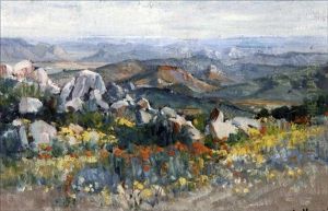 A Mountainous Namaqualand Landscape