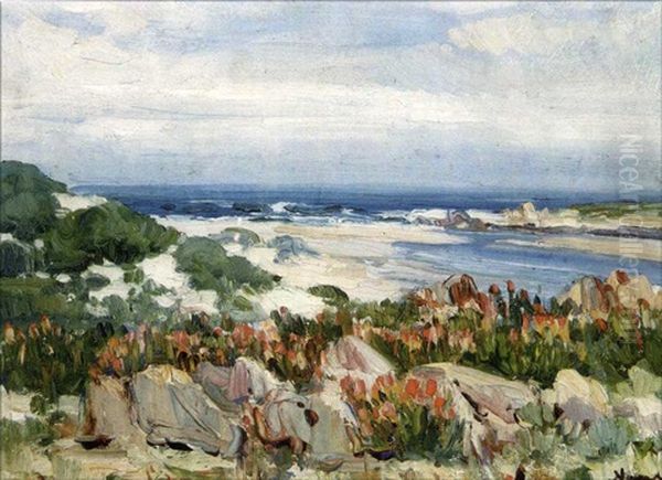 Palmiet River - view 1