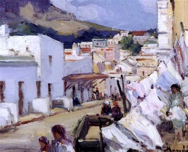 Chapman's Peak Road, Malay Quarter - view 1