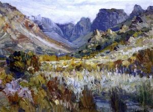 An Extensive Landscape With Wild Flowers by Pieter Hugo Naude