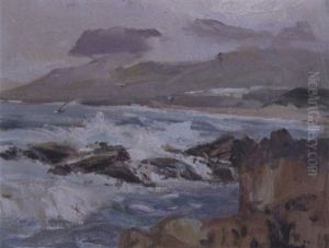 Breaking Waves With Seagulls