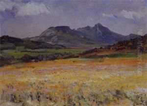 A Namaqualand Landscape