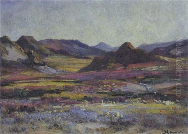 Namaqualand In Spring - view 1