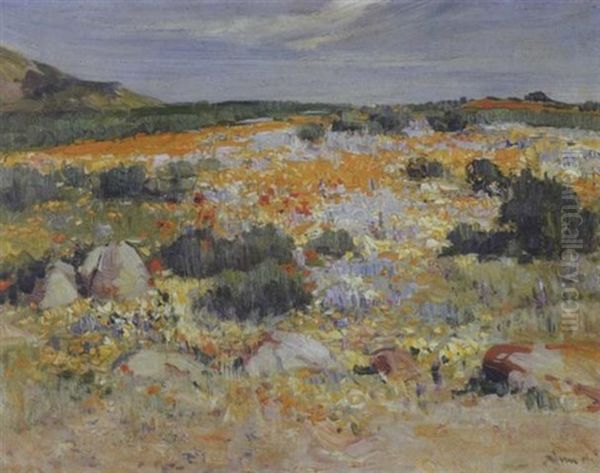Namaqualand In Spring - view 1