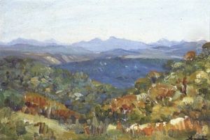 An Extensive Landscape, Western Cape