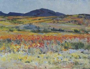 Spring, Namaqualand