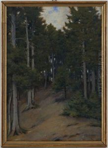 Crepuscule En Foret