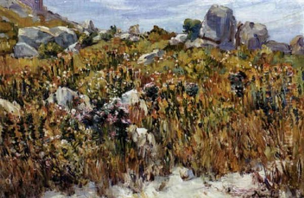 Namaqualand In Spring - view 1