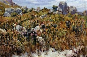 Namaqualand In Spring