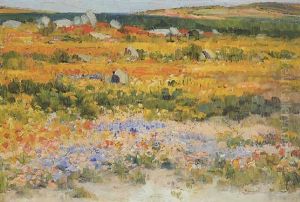 Namaqualand In Spring