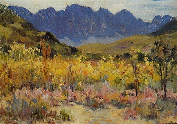 Extensive Landscape With Wild Flowers - view 1