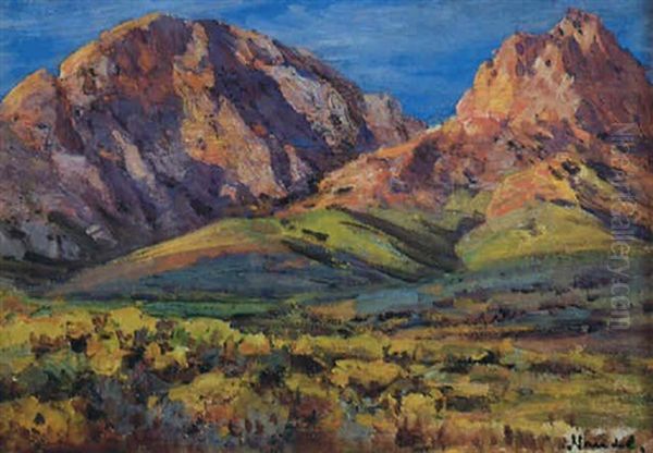 Extensive Landscape With Mountains In The Background - view 1