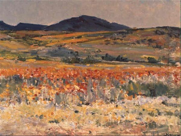 Spring, Namaqualand - view 1