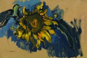 Studie Einer Sonnenblume