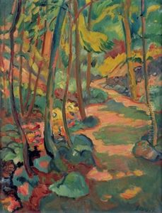 Waldweg Waldweg